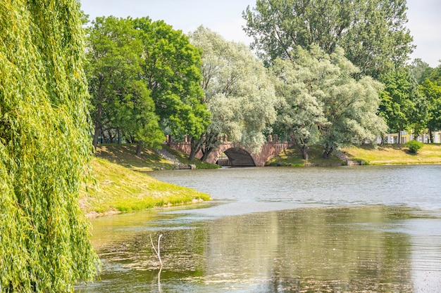 Parque verde da cidade com árvores, flores, passarelas.