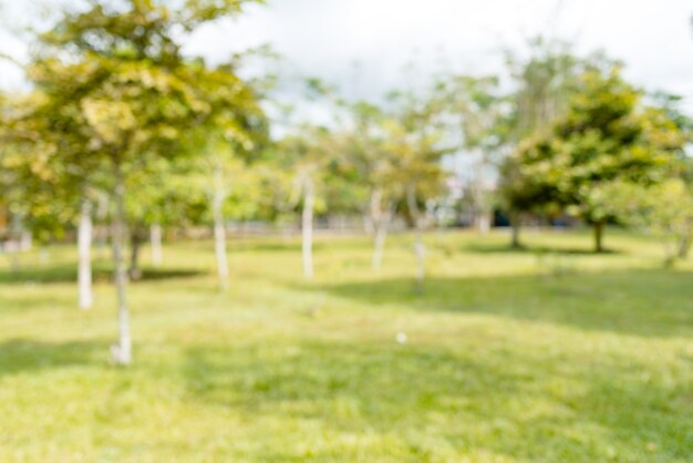 Parque verde de natureza turva com bokeh de fundo de luz do sol