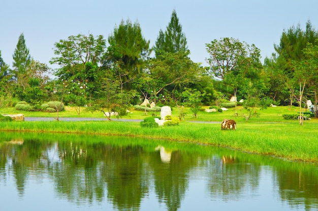 parque verde y lago