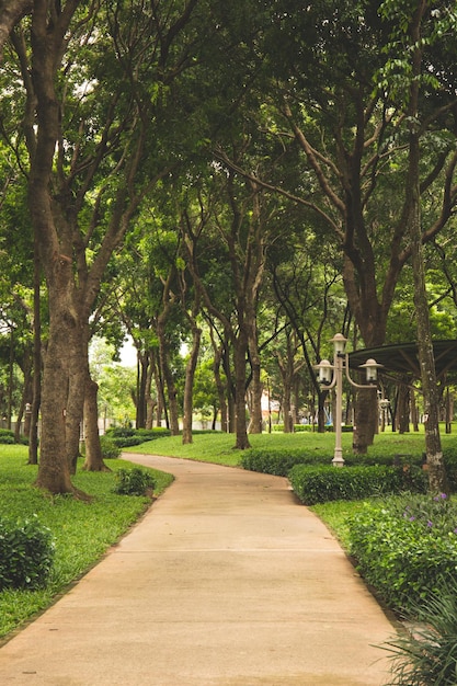 Foto parque verde na cidade de ho chi minh, vietnã