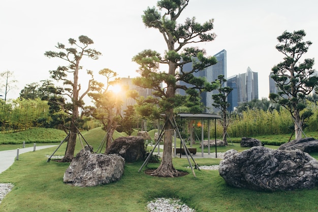 Parque verde público, projeto paisagístico, bela vista do jardim paisagístico.