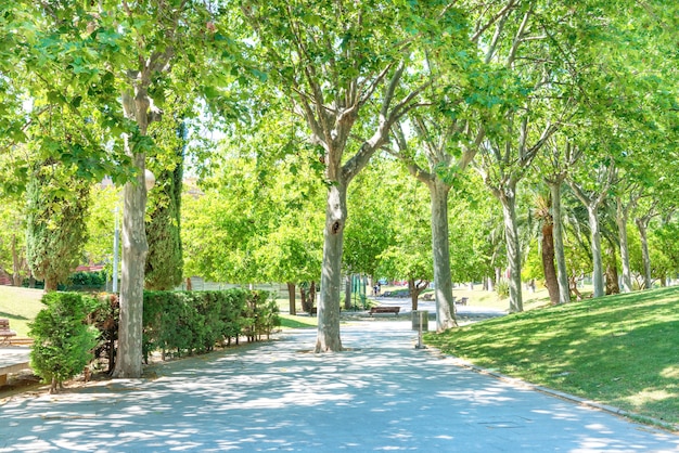 Parque verde soleado con árboles verdes en Barcelona