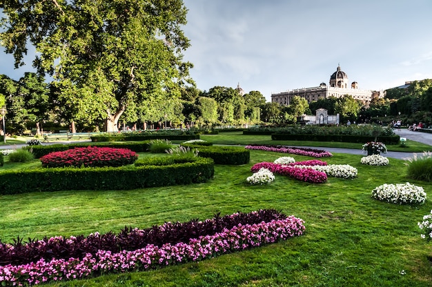 Parque verde verão primavera flores viena, áustria