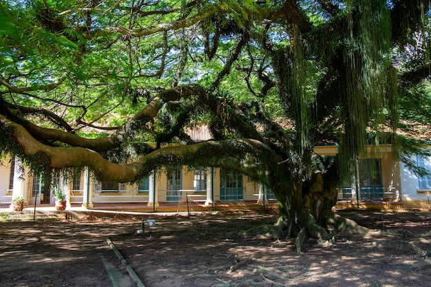 Parque Vicentina Aranha en Sao Jose dos Campos Brasil Capilla y Antiguo Sanatorio