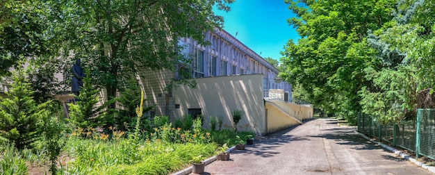 Parque viejo en el sanatorio de Chkalov en Odessa Ucrania