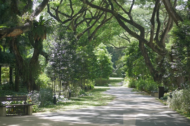 Parques da cidade com passeio no início da manhã