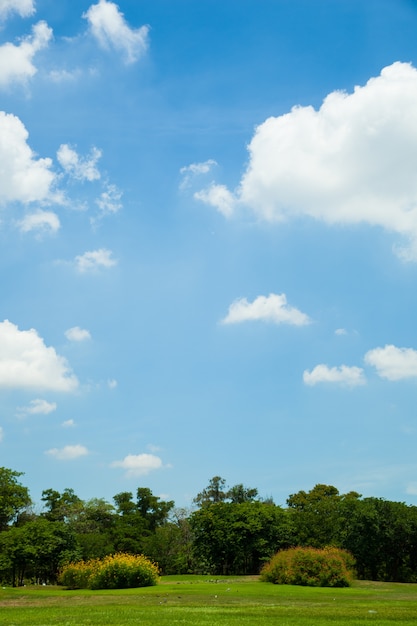 Parques e céu brilhante.