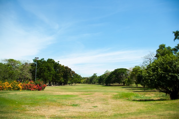 Foto parques e céu brilhante.