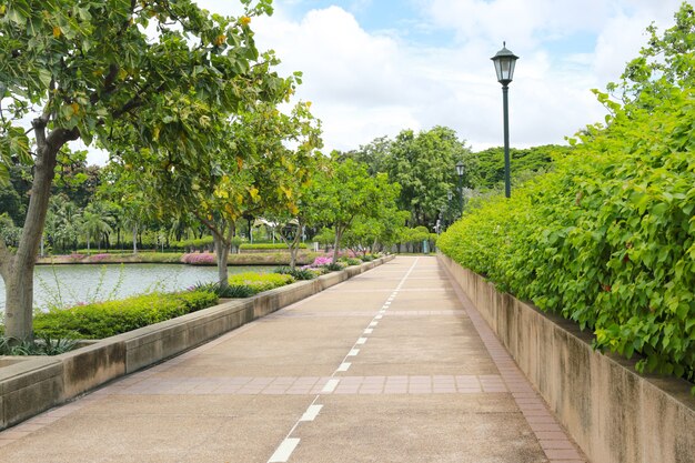 Parques urbanos o parque público benjakiti en el día.