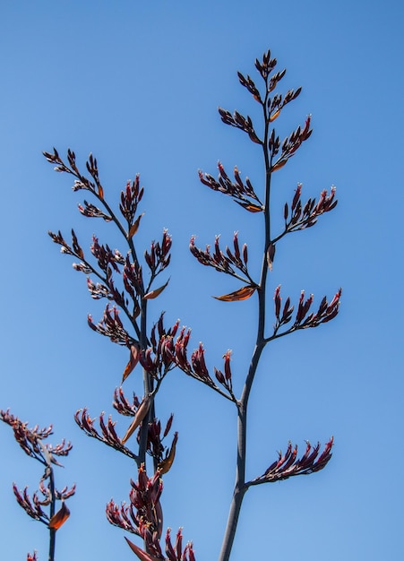 Parte de un árbol en un jardín a la vista