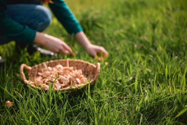 Foto parte baja de la persona que prepara la comida en el campo