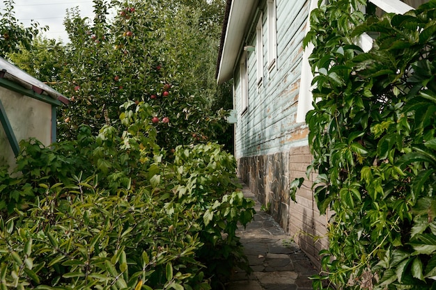 Parte de una cabaña de madera o dacha rodeada de jardín y vegetación