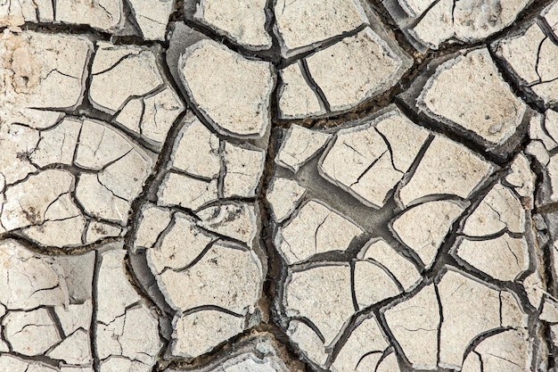 Foto parte de uma enorme área de terra seca que sofre com a seca em rachadurasx9