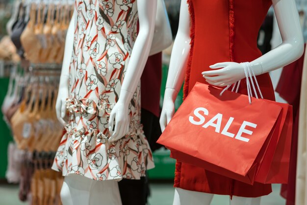 Parte do manequim feminino vestido com roupas casuais, segurando o saco de compras de papel de vendas