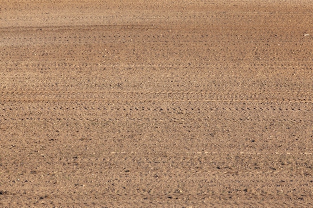 Parte do território de um campo agrícola com solo fértil