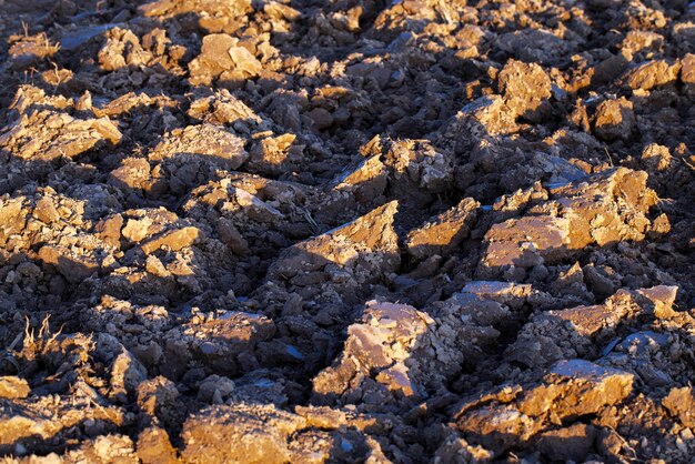 Parte do território de um campo agrícola com solo fértil