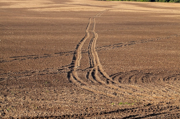 Parte do território de um campo agrícola com solo fértil