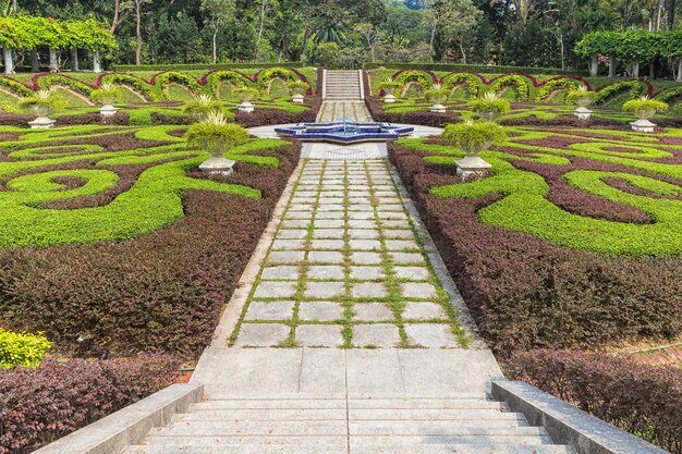 Parte de un jardín regular con setos recortados.