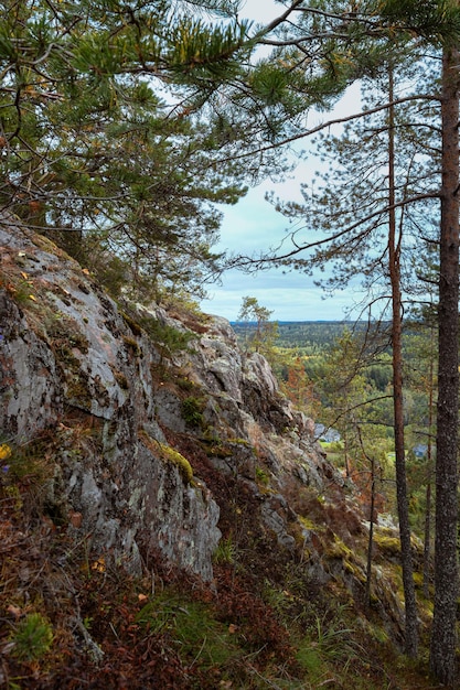 Foto parte de la montaña hiidenvuori y la vista desde la montaña a los bosques distantes. naturaleza de carelia, rusia