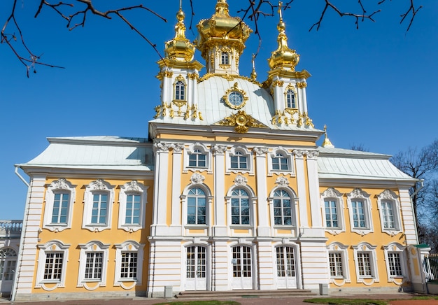 Foto parte del palacio de catalina en san petersburgo, rusia.
