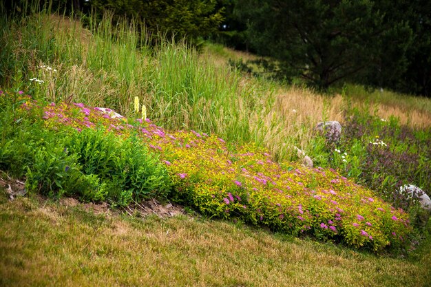 Parte del parque paisajístico Las plantas ornamentales, las flores y la hierba se encuentran en la ladera