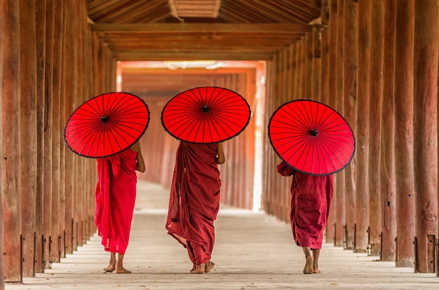 La parte posterior de tres principiantes budistas están caminando en la pagoda, myanmar