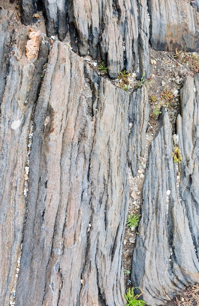 Parte de la roca de cerca. Fondo de naturaleza.