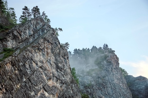 Parte superior de pedra das rochas com árvores