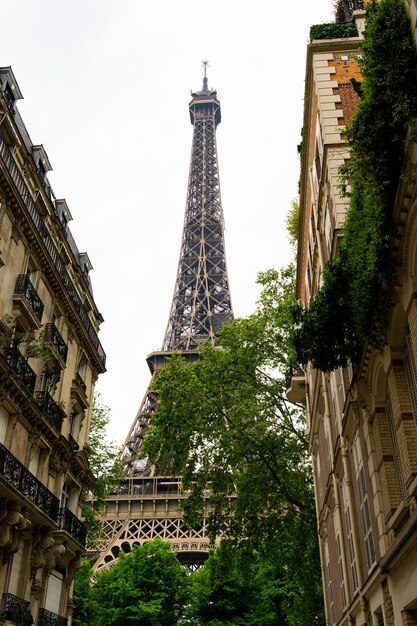 Parte de la torre eiffel cruzando una calle parisina con árboles al amanecer