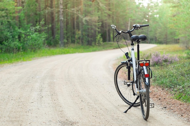 Parte traseira da bicicleta na floresta DOF