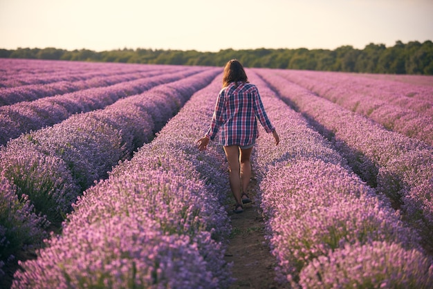 Parte trasera de la mujer en camisa a cuadros multicolor en el hermoso campo de lavanda