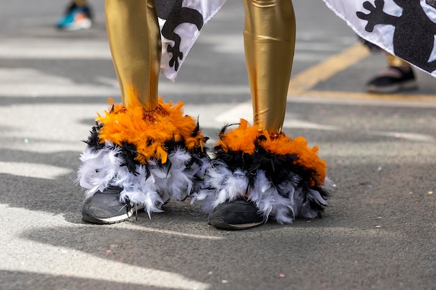 Participantes del festival del desfile de carnaval