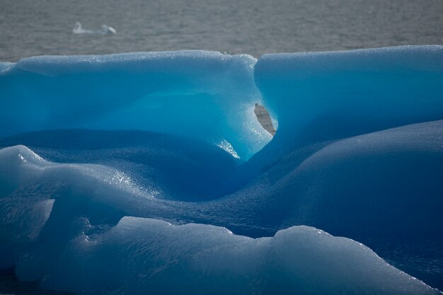 Particular de un iceberg azul en el lago argentino