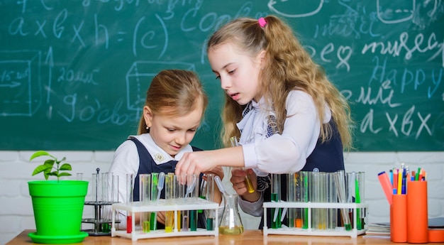 Partner im Schullabor Kinder beschäftigen sich mit Experimenten Reagenzgläser mit bunten Substanzen Chemische Analyse und Beobachtung der Reaktion Schulausrüstung für das Labor Mädchen im Chemieunterricht in der Schule