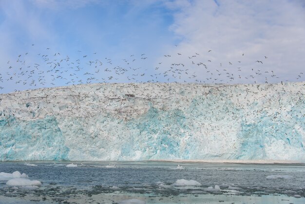 Parto de glaciares