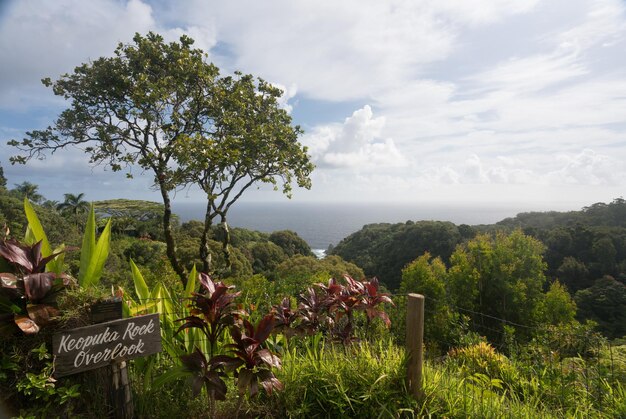 Pasar por alto el océano Pacífico en Keopuka Rock