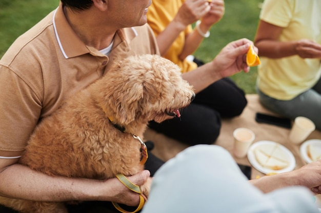 Pasar un picnic con la familia