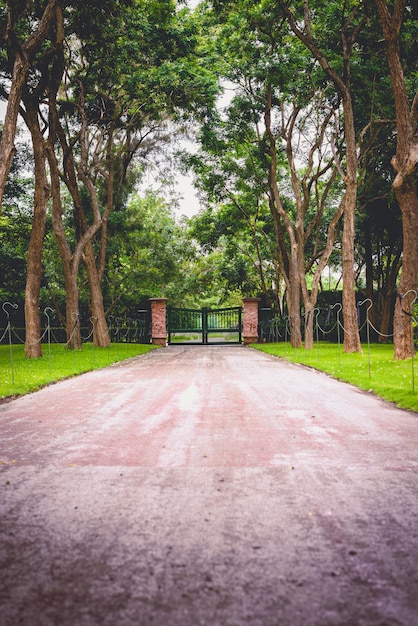 Pasarela cubierta túnel árboles