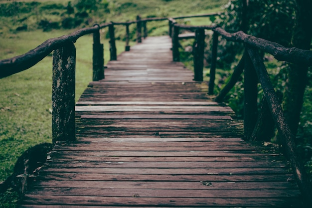 La pasarela es un puente de madera. Puente de madera