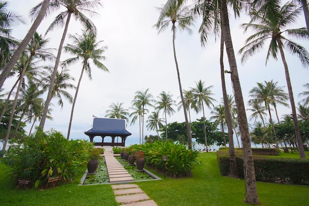 Pasarela en el estanque lleno de nenúfares en el jardín tropical, Koh Samui, Tailandia