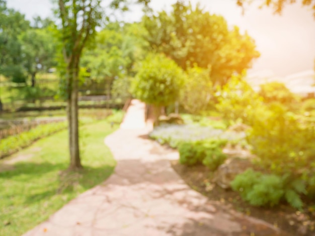 Pasarela en el fondo borroso del jardín de flores