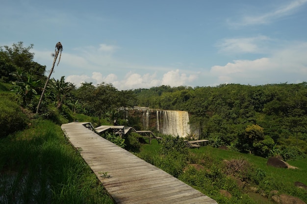 Una pasarela de madera conduce a una cascada en la jungla.