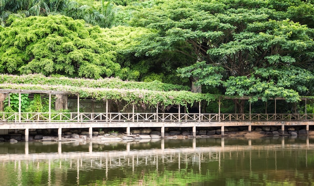 Pasarela de madera en jardín