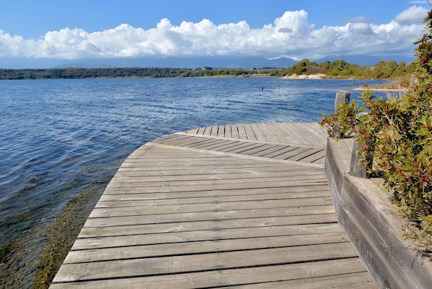 Pasarela de madera sobre el agua en la orilla de un lago