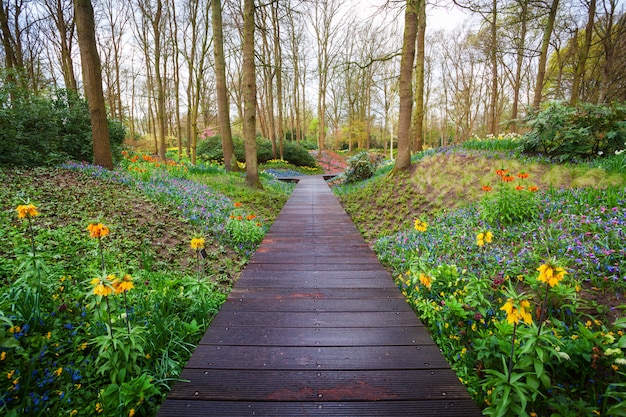 Pasarela de madera a través del parque Keukenhof en Holanda