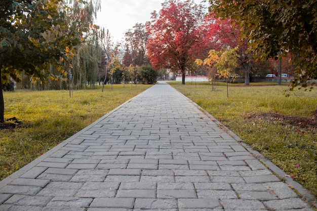 Pasarela en el parque con árboles de otoño Otoño en el parque