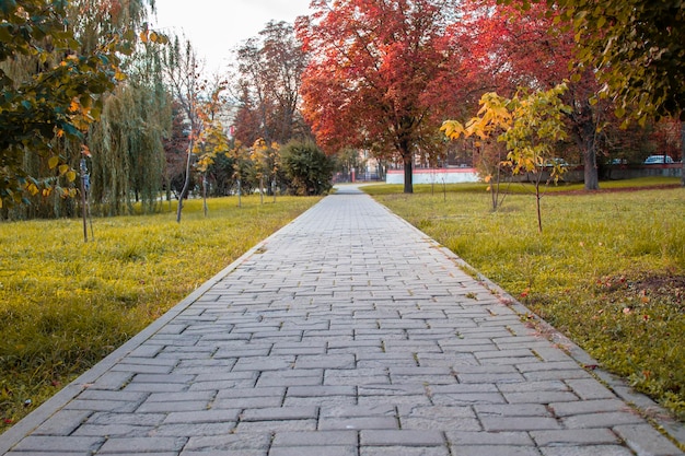 Pasarela en el parque con árboles de otoño Otoño en el parque