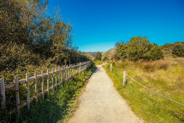 Pasarela en el Parque Natural Recursos Naturales Marisma de Joyel Cantabria España Europa