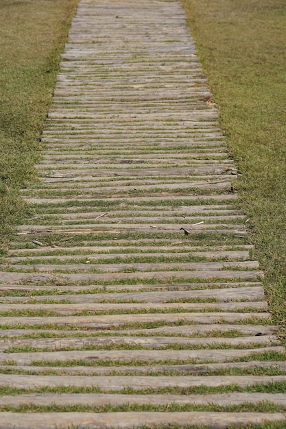 Pasarela en el parque sobre hierba verde