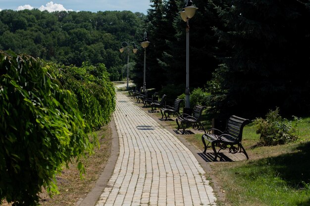 Pasarela pavimentada en un jardín del parque italiano